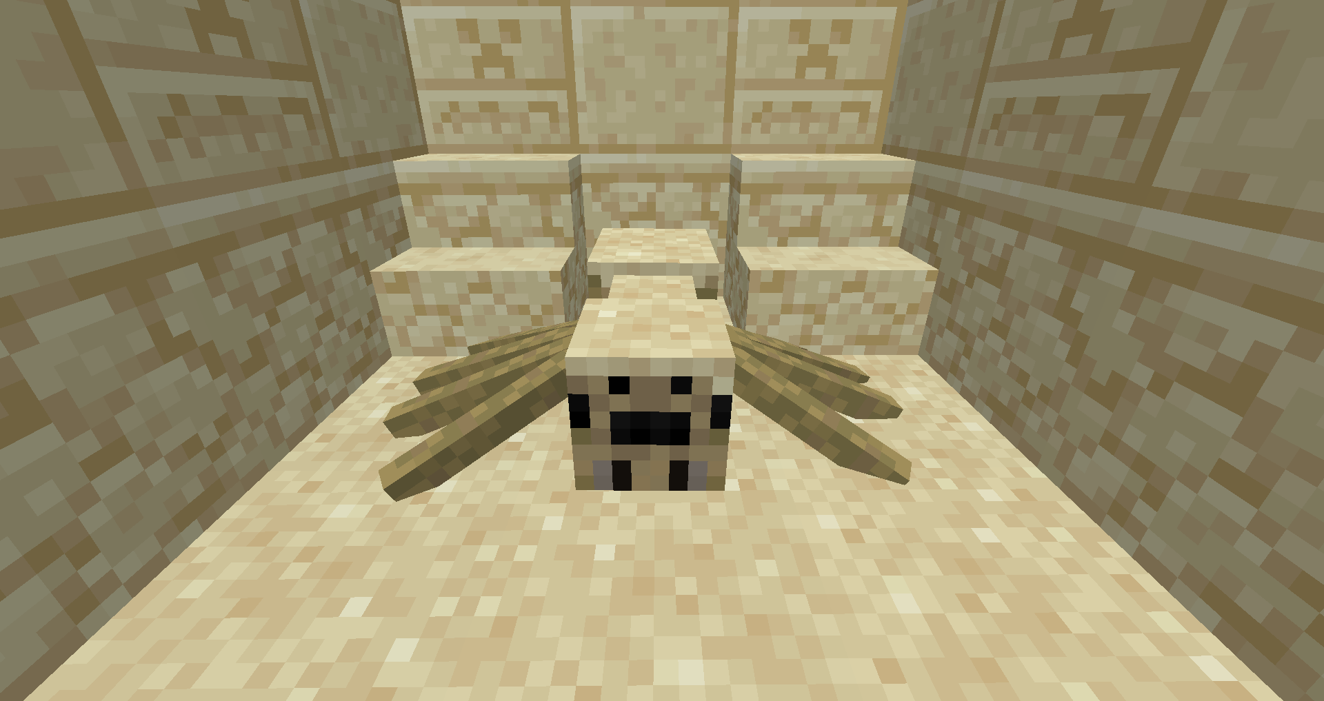 Canes Wonderful Spiders — screenshot 5