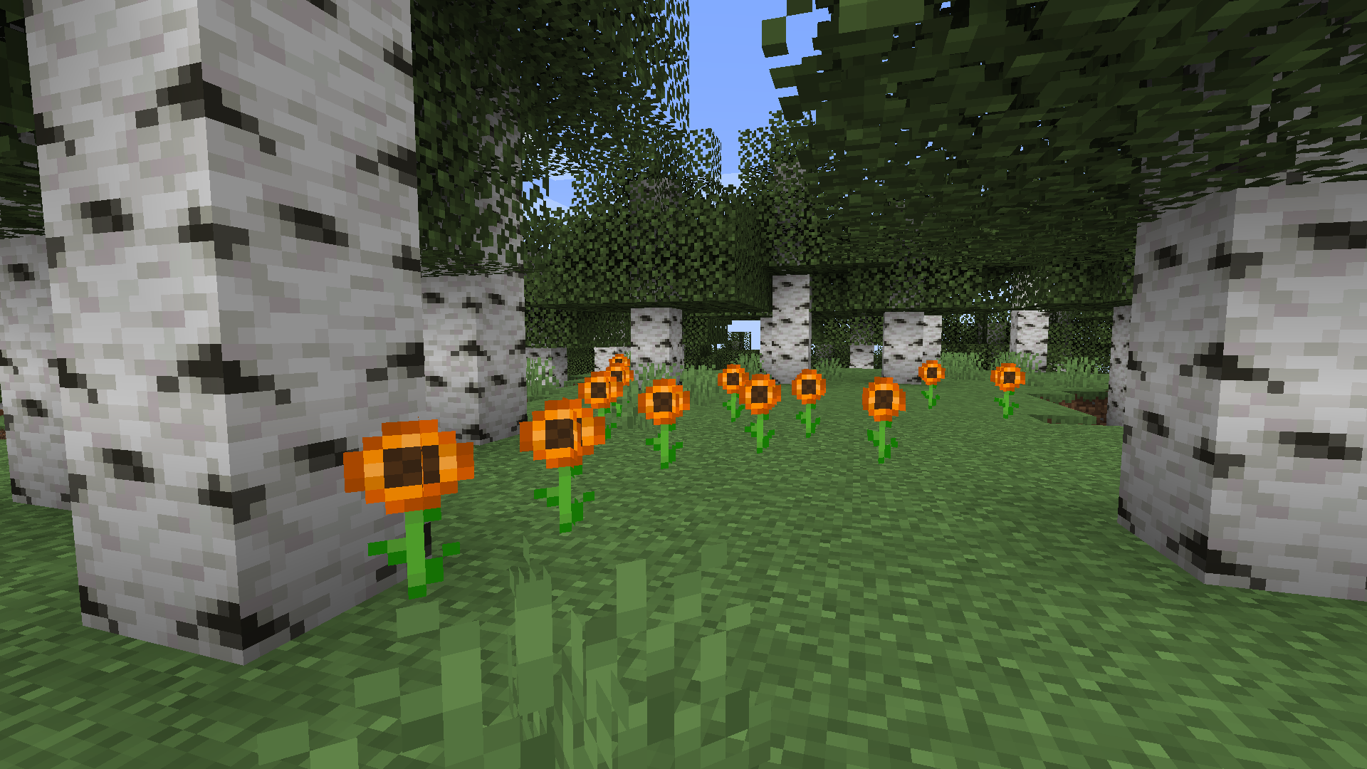 Sierra's Flowers — screenshot 1
