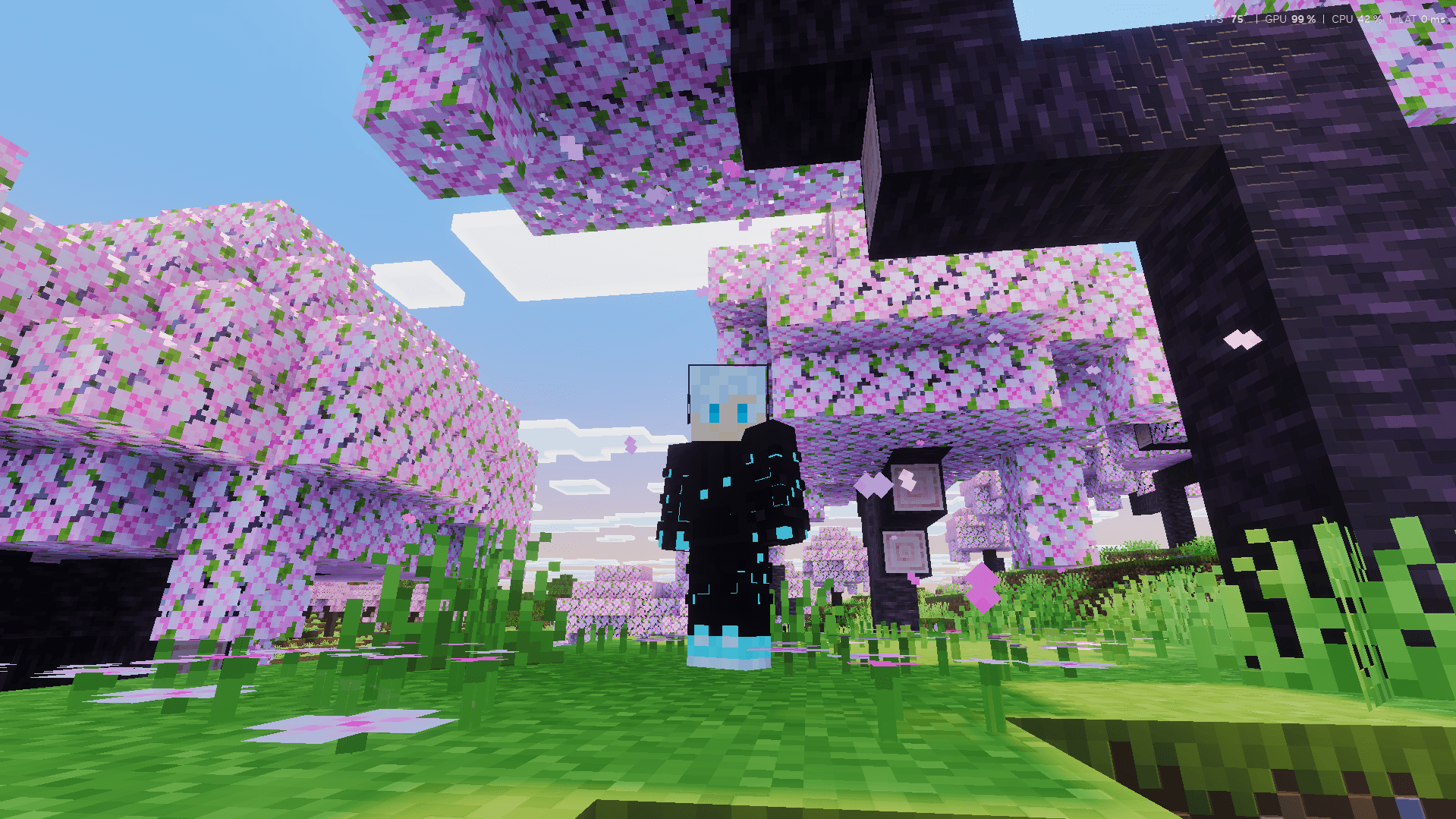 BSL ZenXveda Shaders — screenshot 3