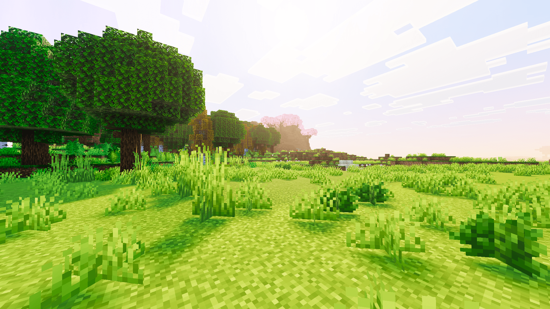 Basic Visuals — screenshot 5