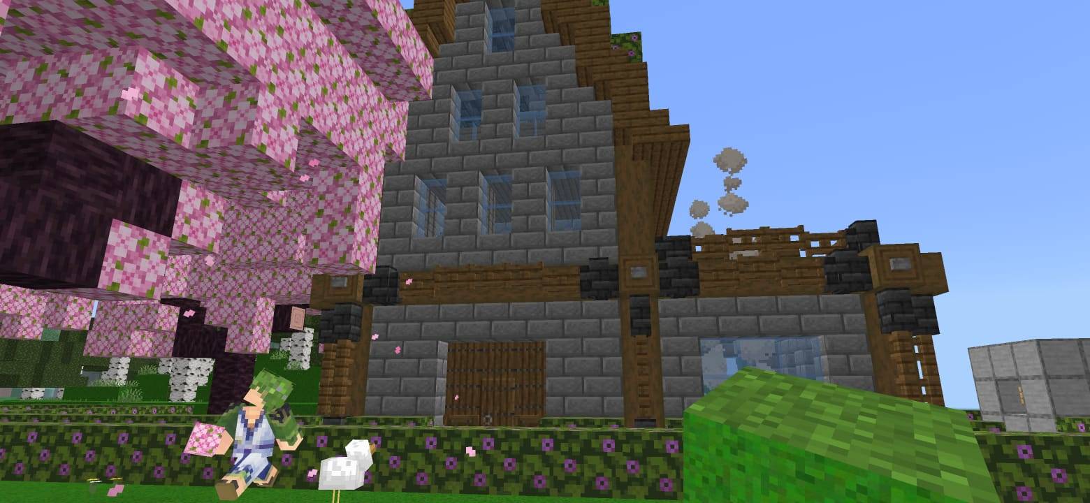 A 550 DAYS HARDCORE WORLD BY AKASHBUILDZ — screenshot 6