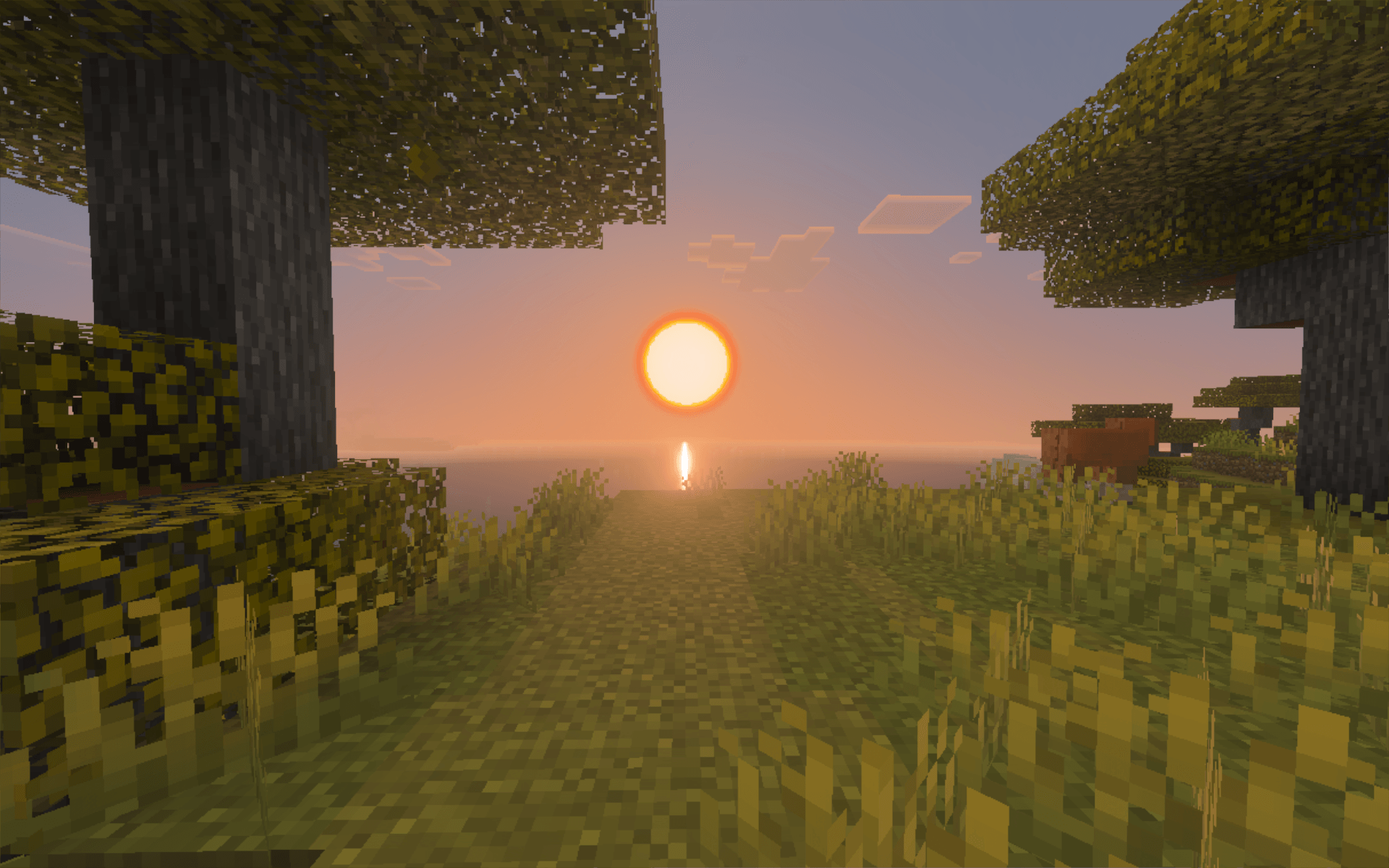 Truesky — screenshot 3