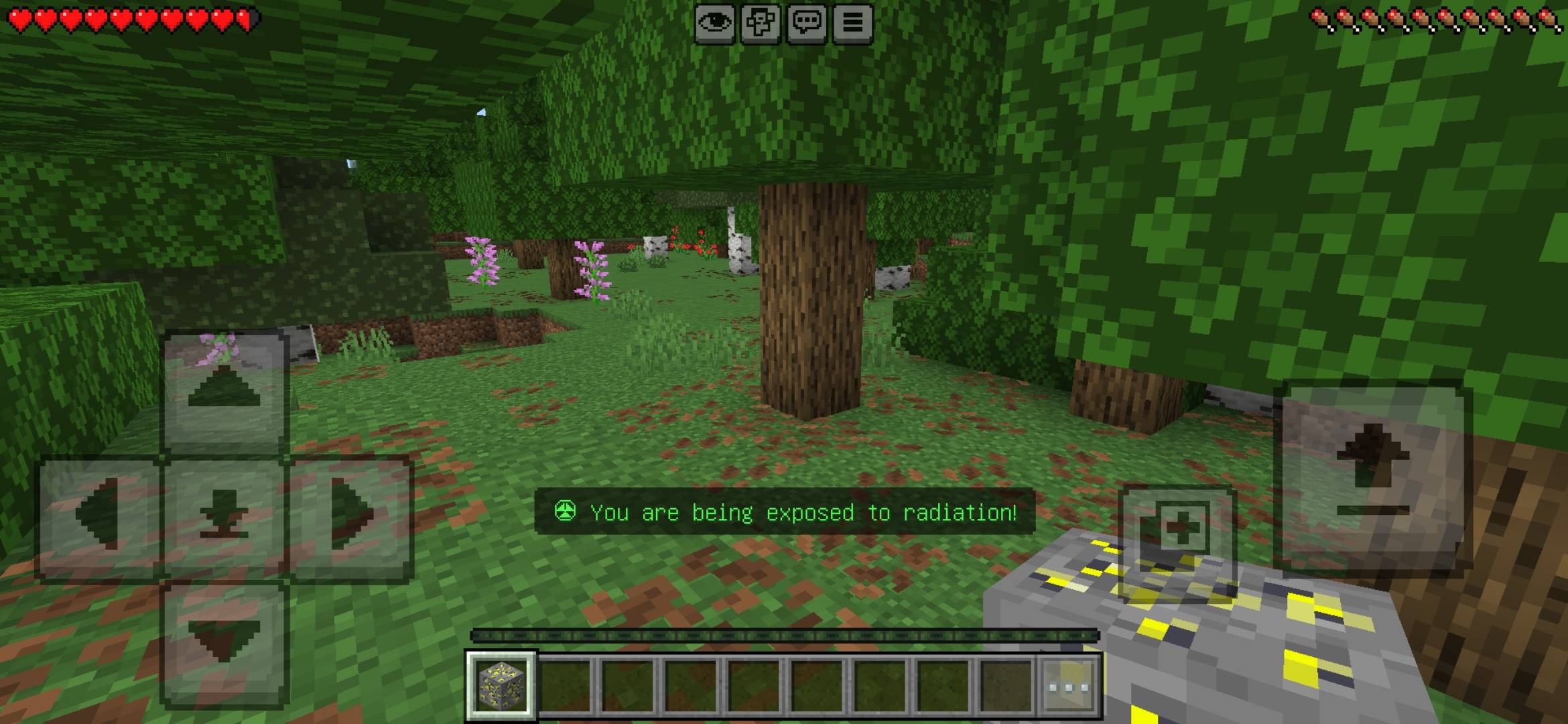 Ruin Craft — screenshot 2