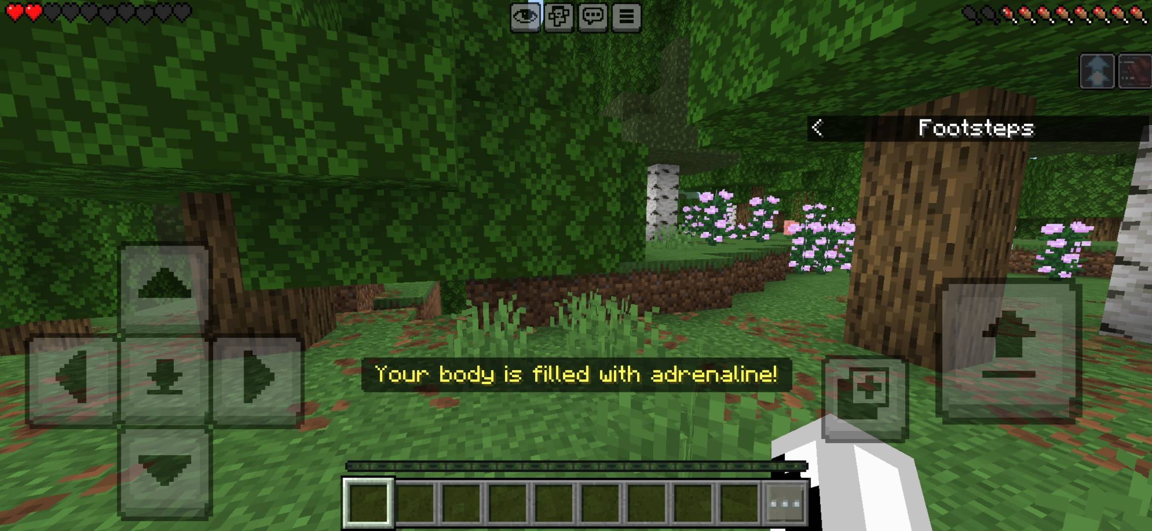 Ruin Craft — screenshot 3