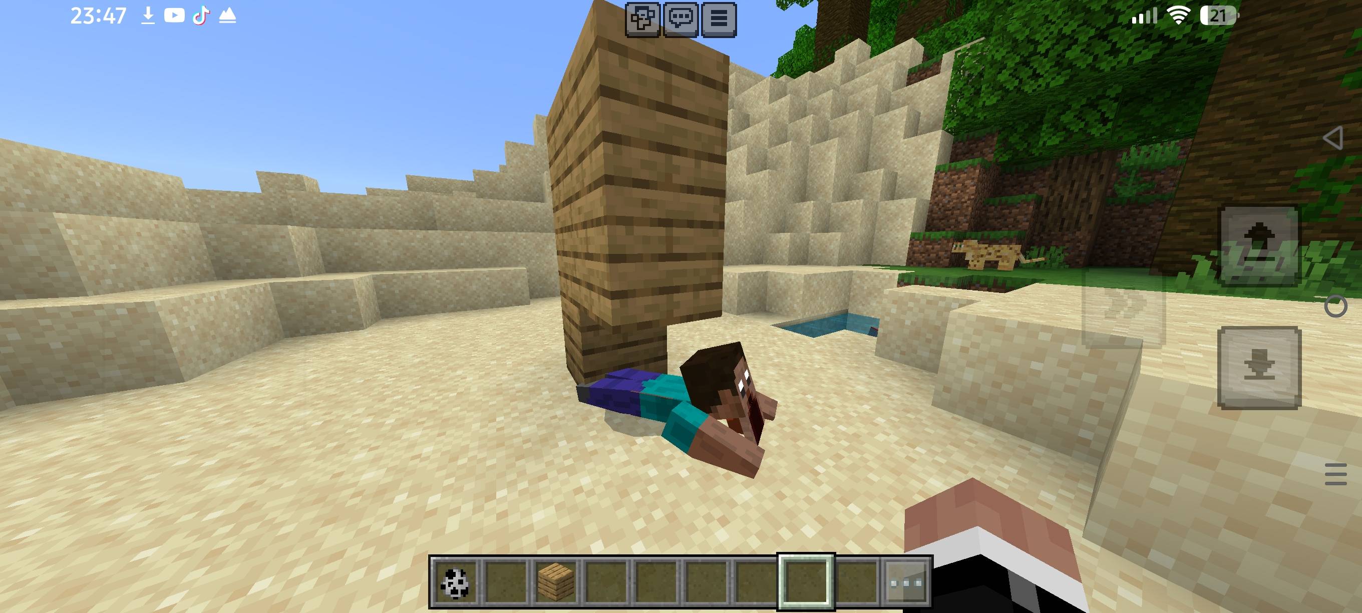 The fake steve V1 — screenshot 1