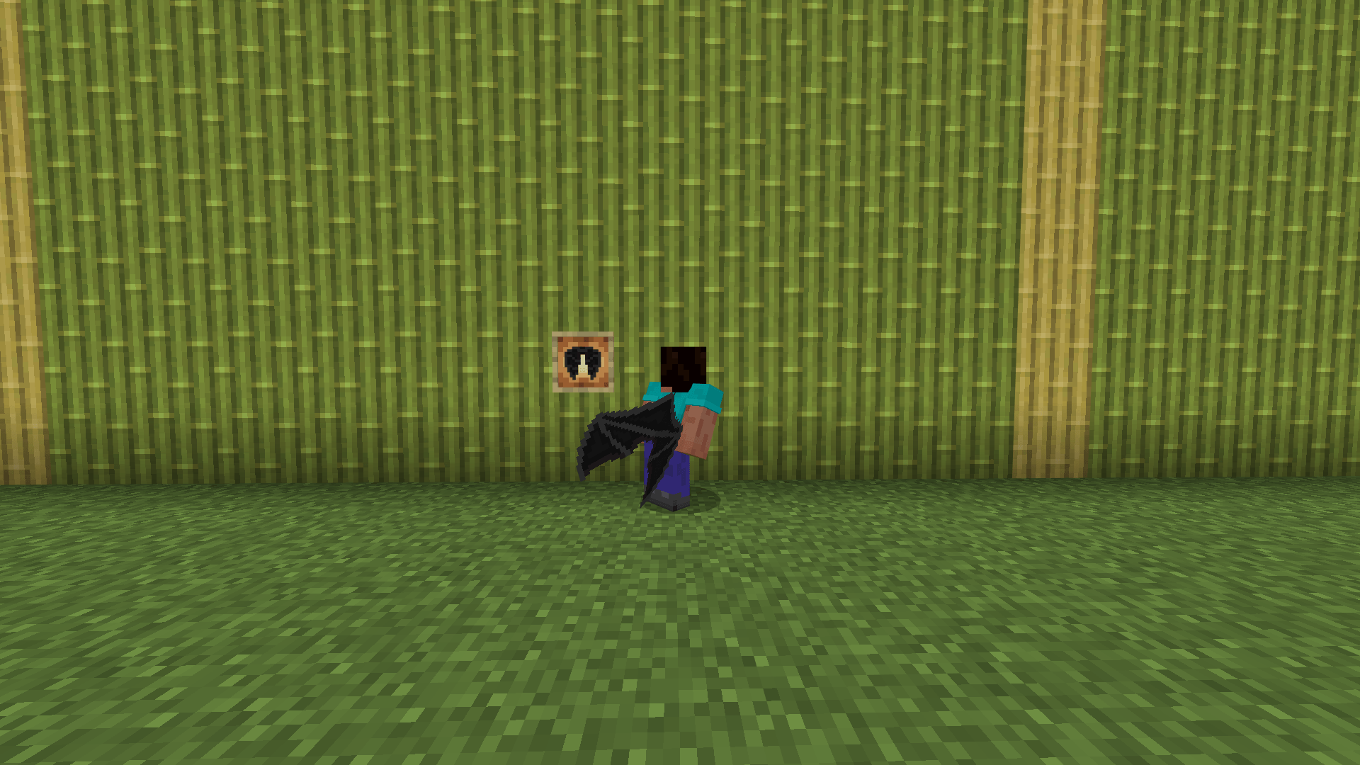 Dragon Elytra — screenshot 2