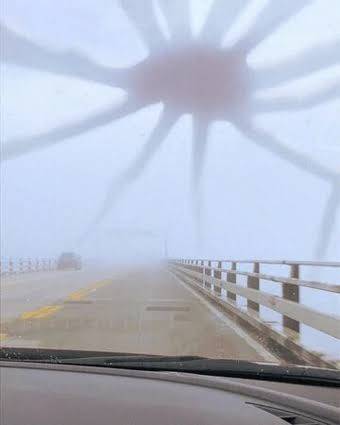 the web kraken — screenshot 1
