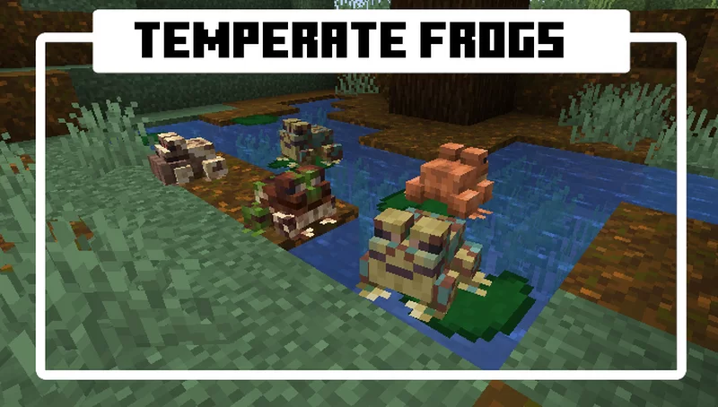 More Frogs — screenshot 2