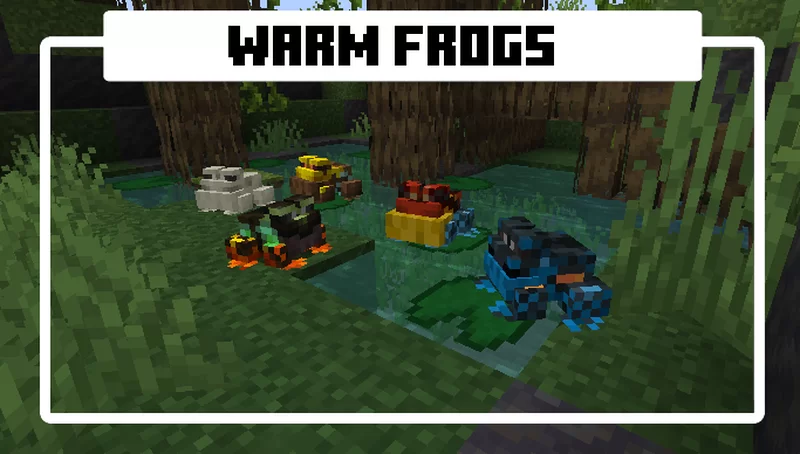 More Frogs — screenshot 4