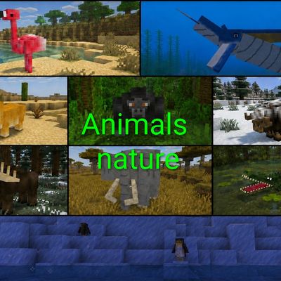 Animals nature