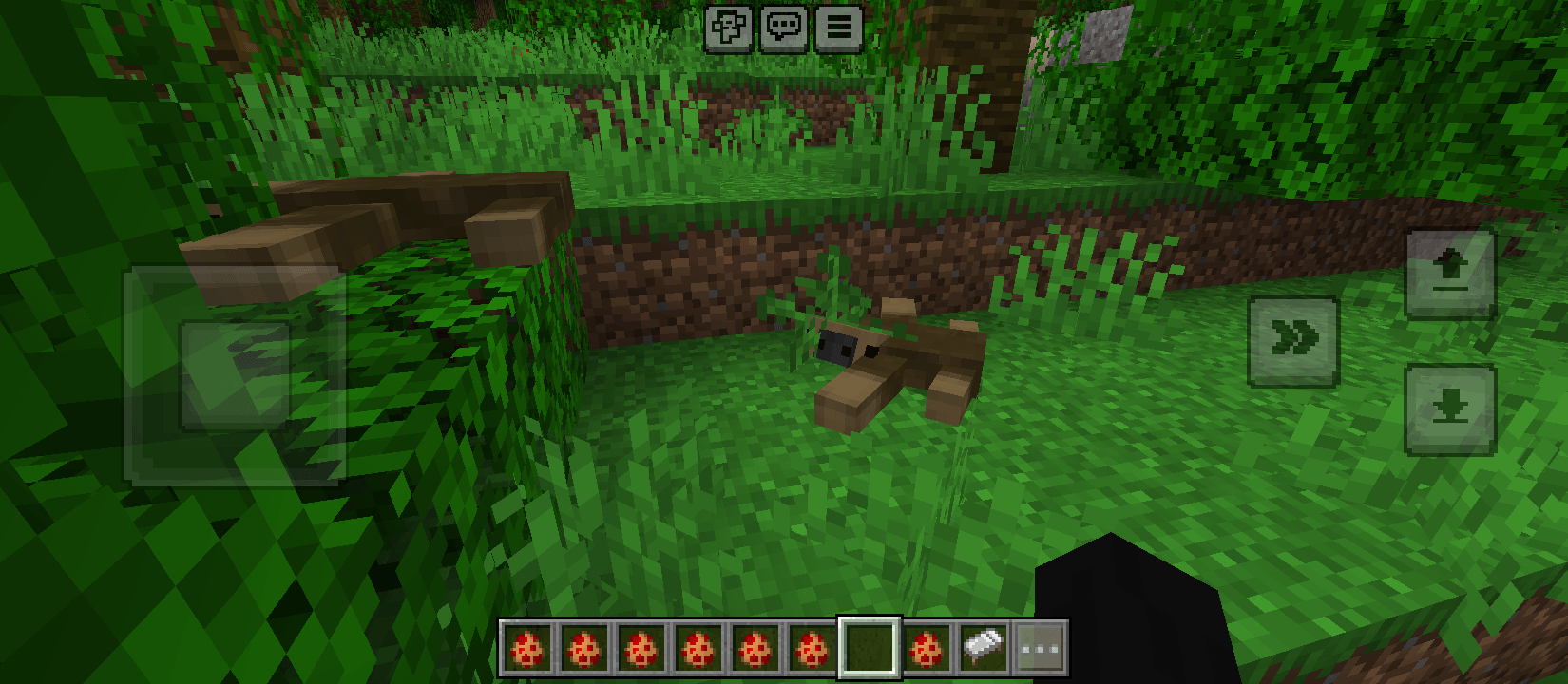 Animals nature — screenshot 4