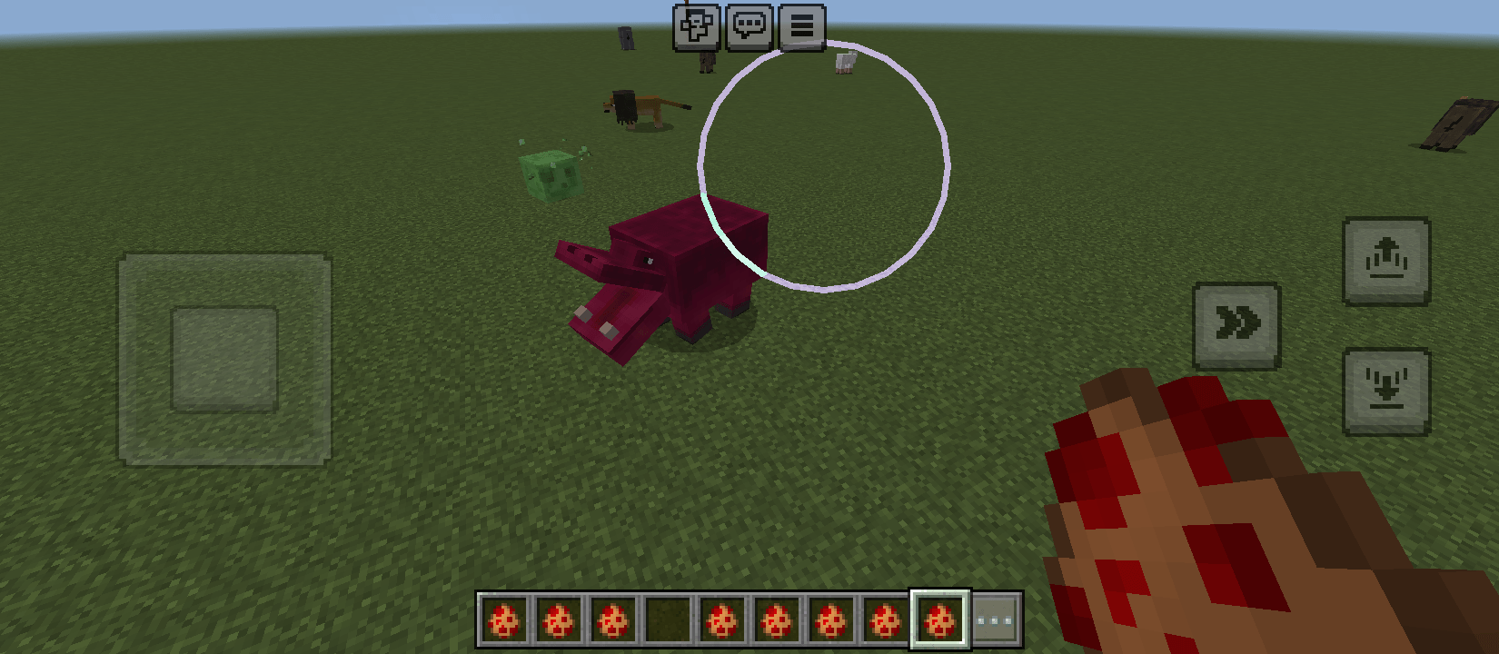 Animals nature — screenshot 8