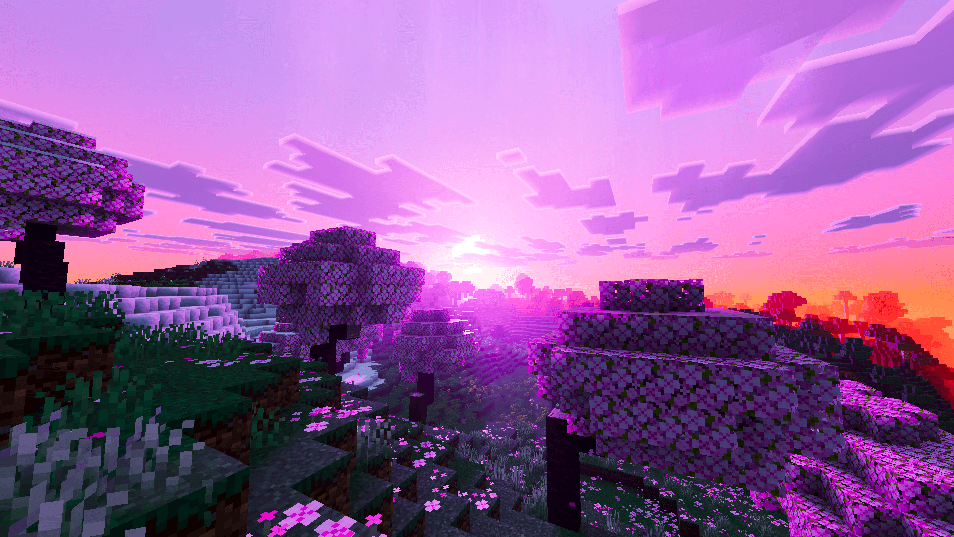 Reze Visuals — screenshot 4