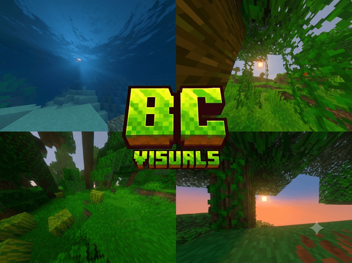 BC Visual — screenshot 2