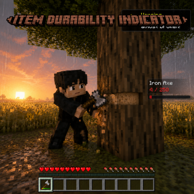 Item Durability Indicator