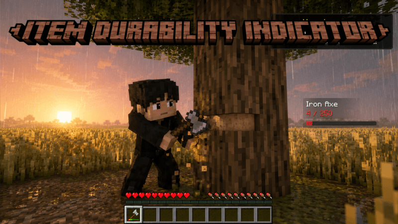 Item Durability Indicator — screenshot 1