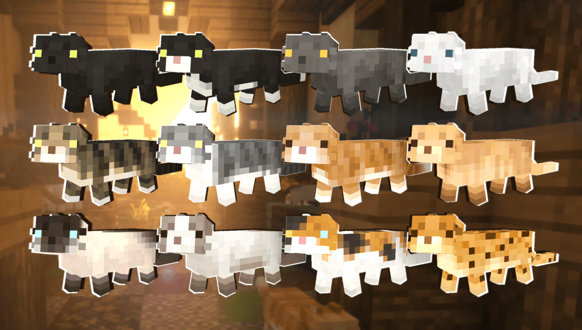 Even Cuter Kitties ♡ Cats in Bedrock — screenshot 2