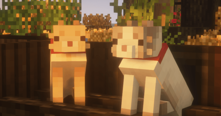 Even Cuter Kitties ♡ Cats in Bedrock — screenshot 3