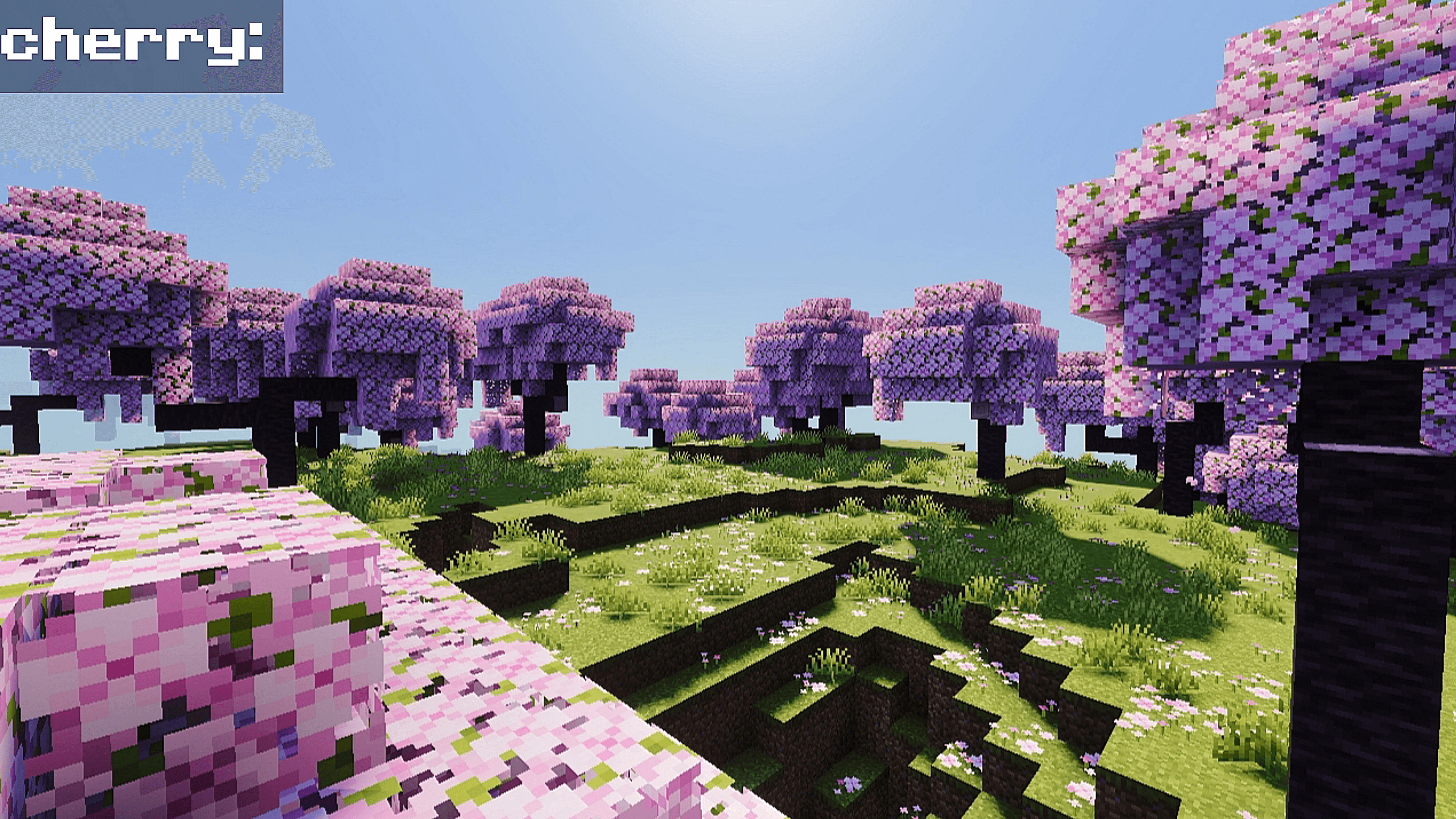 Pardex — screenshot 8