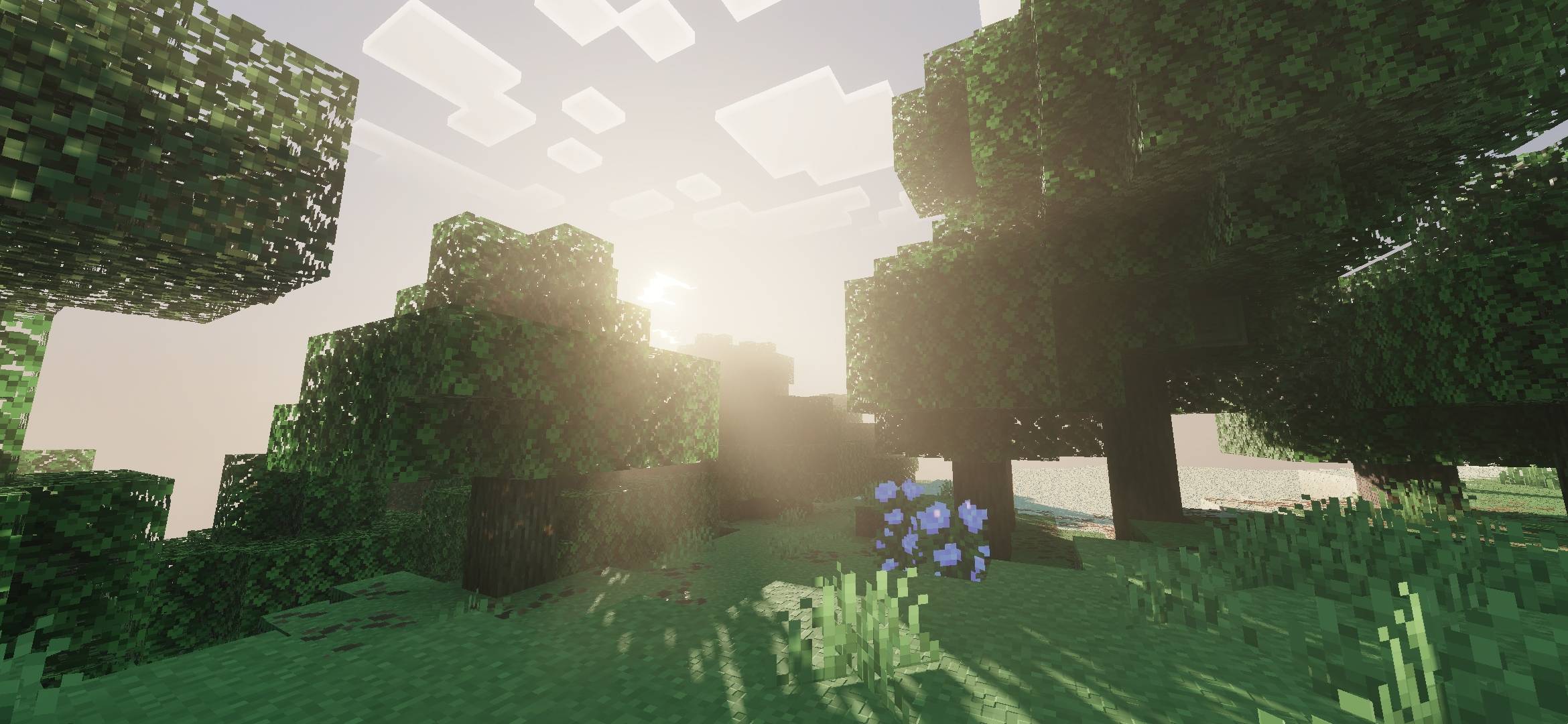 Vibrant Life Shaders - 1.26.51+ — screenshot 2