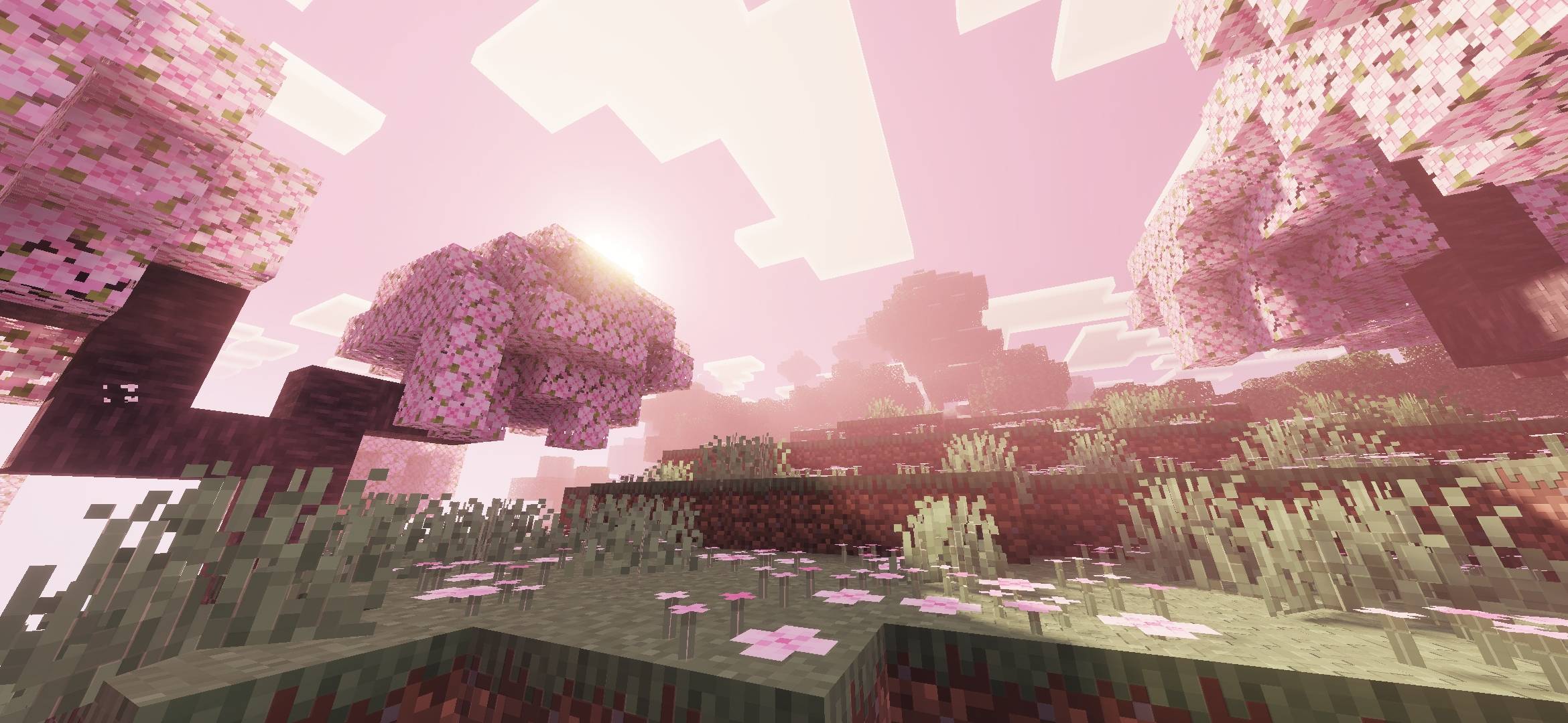 Vibrant Life Shaders - 1.26.51+ — screenshot 3