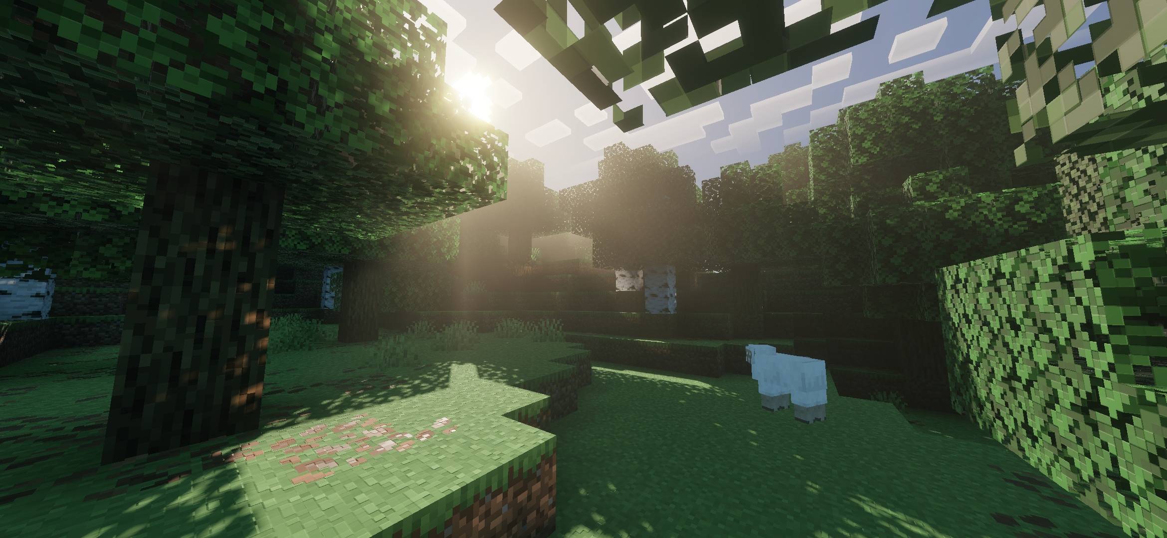 Vibrant Life Shaders - 1.26.51+ — screenshot 6