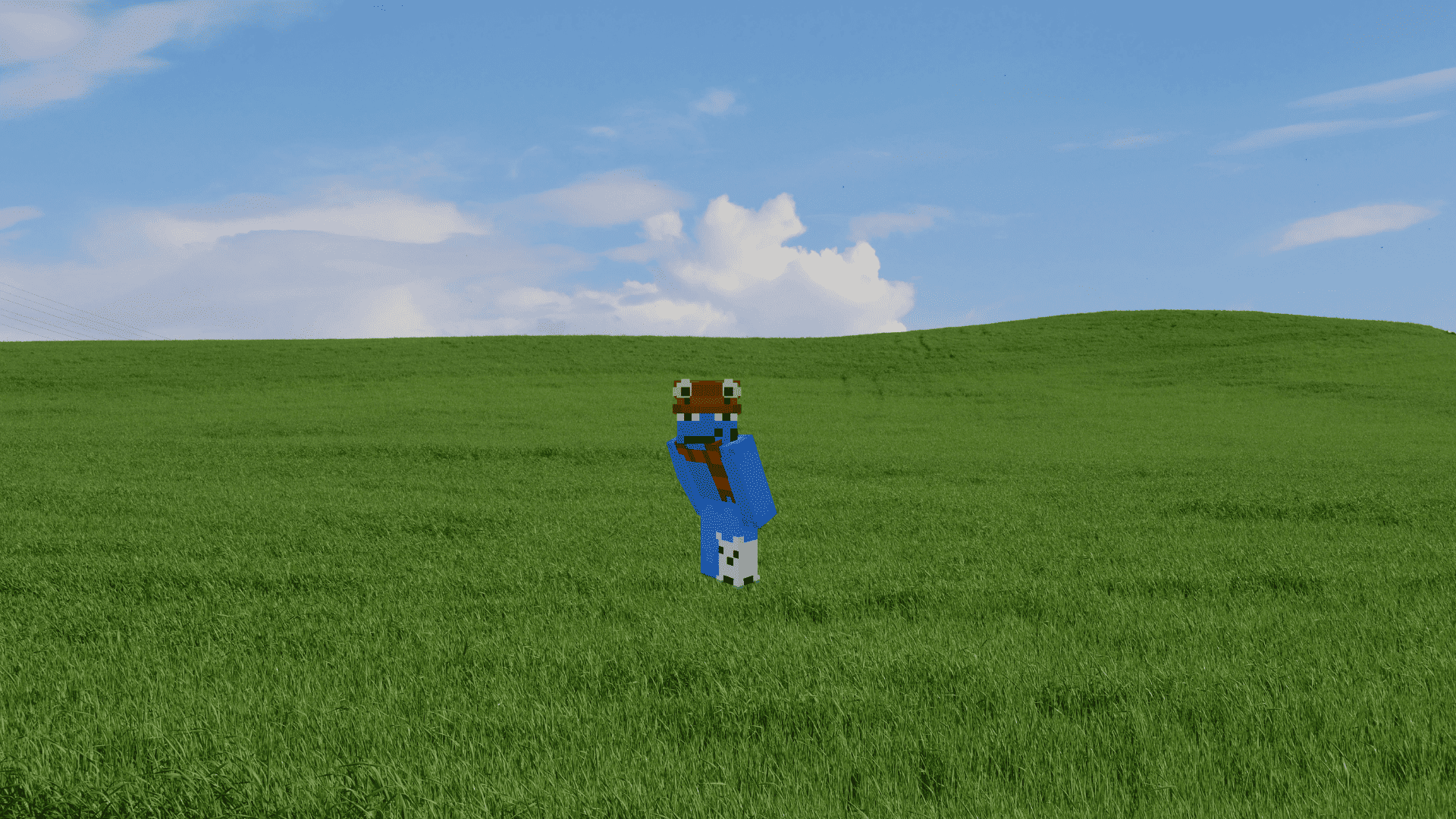 Green Screen & Blue Screen — screenshot 2