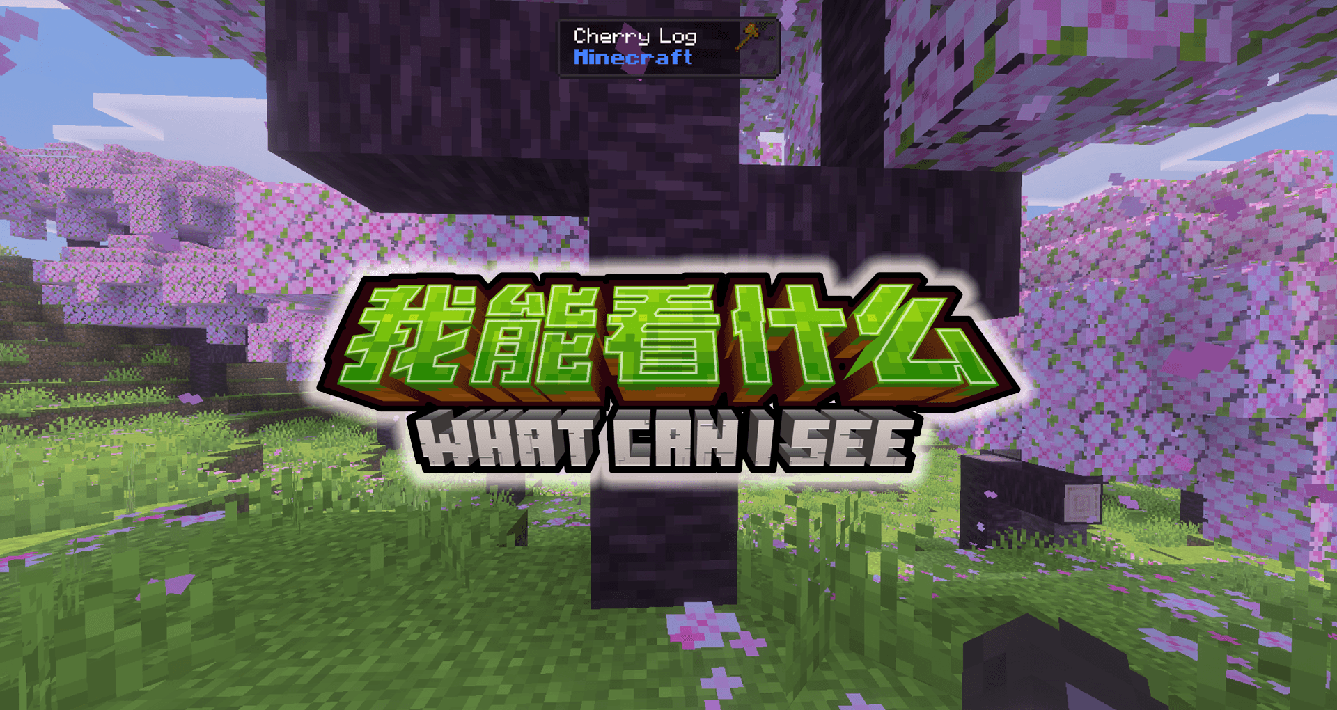 Naitang's waila — screenshot 1
