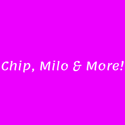 Chip, Milo & And Even More Skins! — Minecraft Bedrock