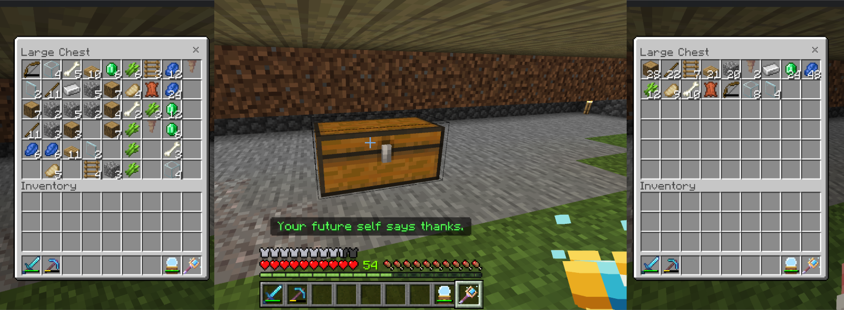 Chest Organizer — screenshot 1