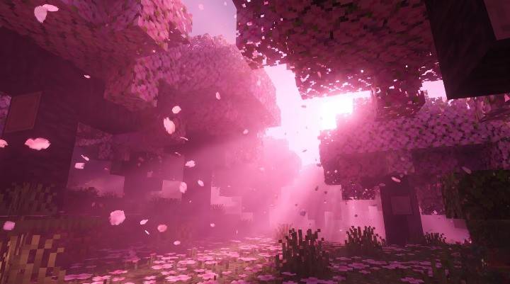 BiomeAura Visuals — screenshot 4