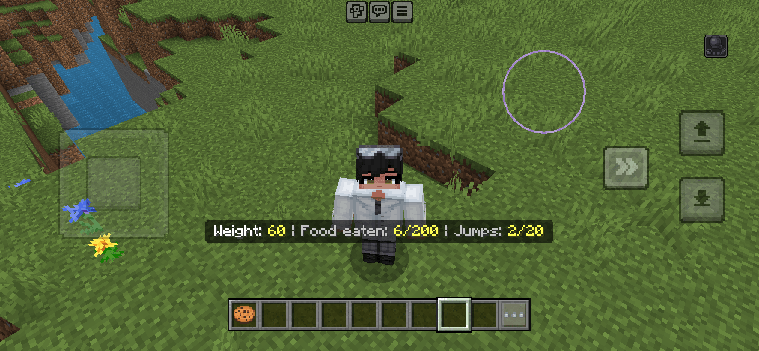 ChubbyCraft — screenshot 3