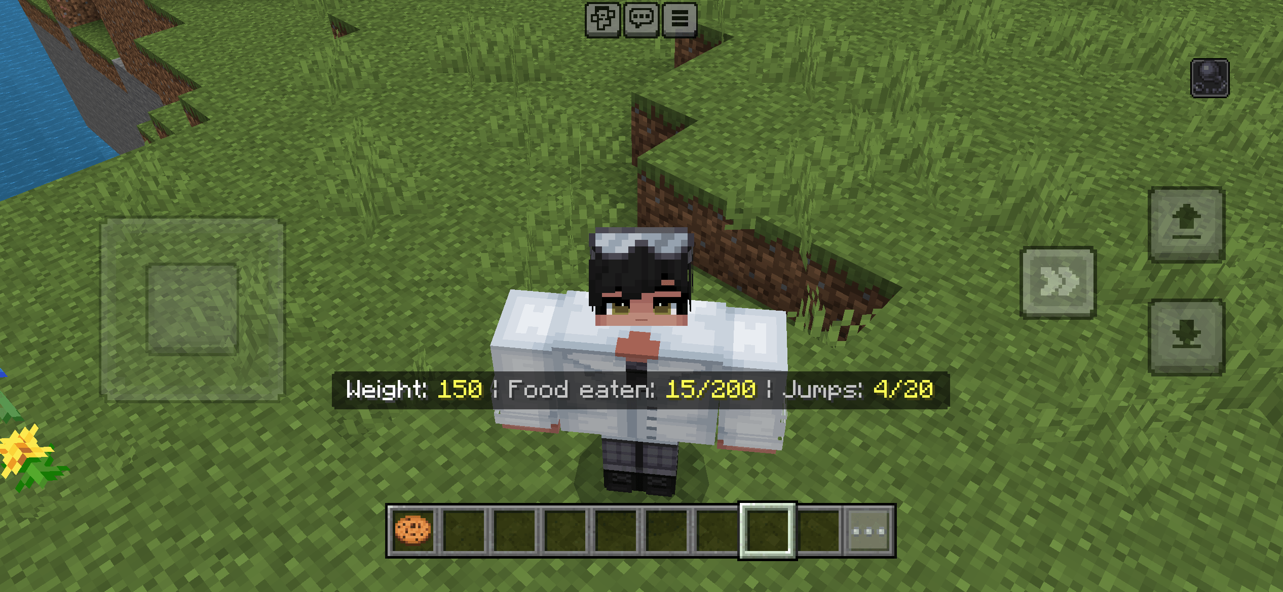 ChubbyCraft — screenshot 4