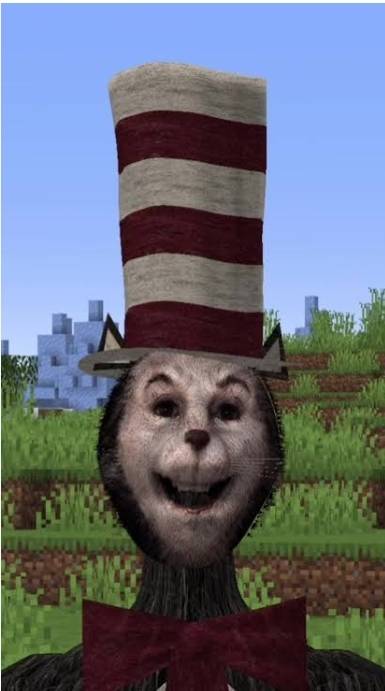 CAT IN THE HAT.jar (bedrock edition) — screenshot 3