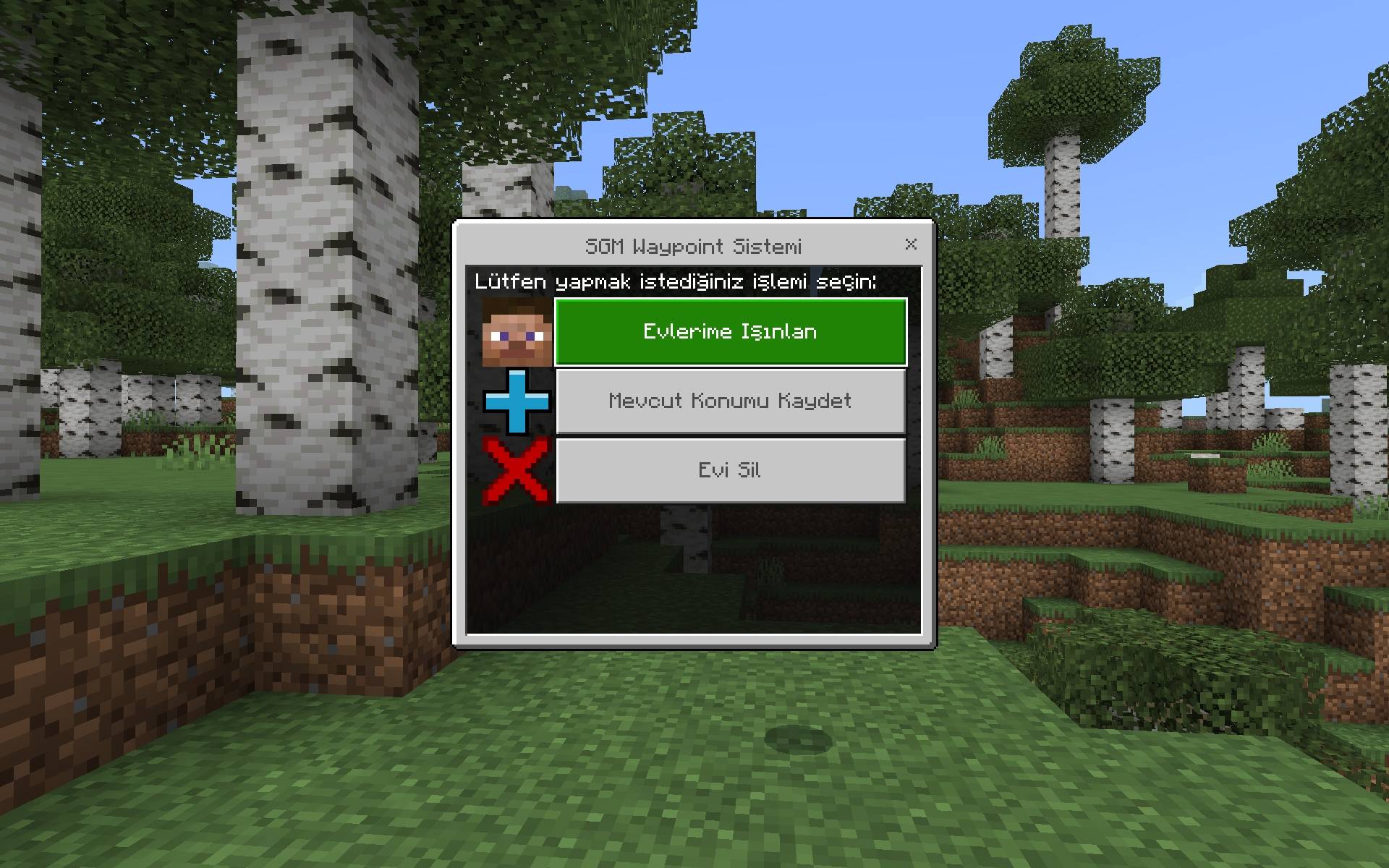 SGM Advanced Home & Waypoint System — screenshot 1