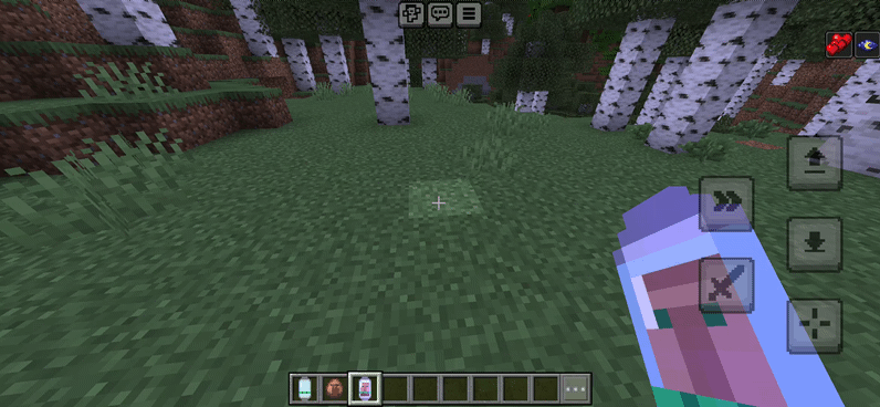 Obe's Villager Capsule — screenshot 1