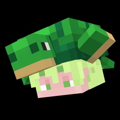 Lively Turtle Helmet 3D