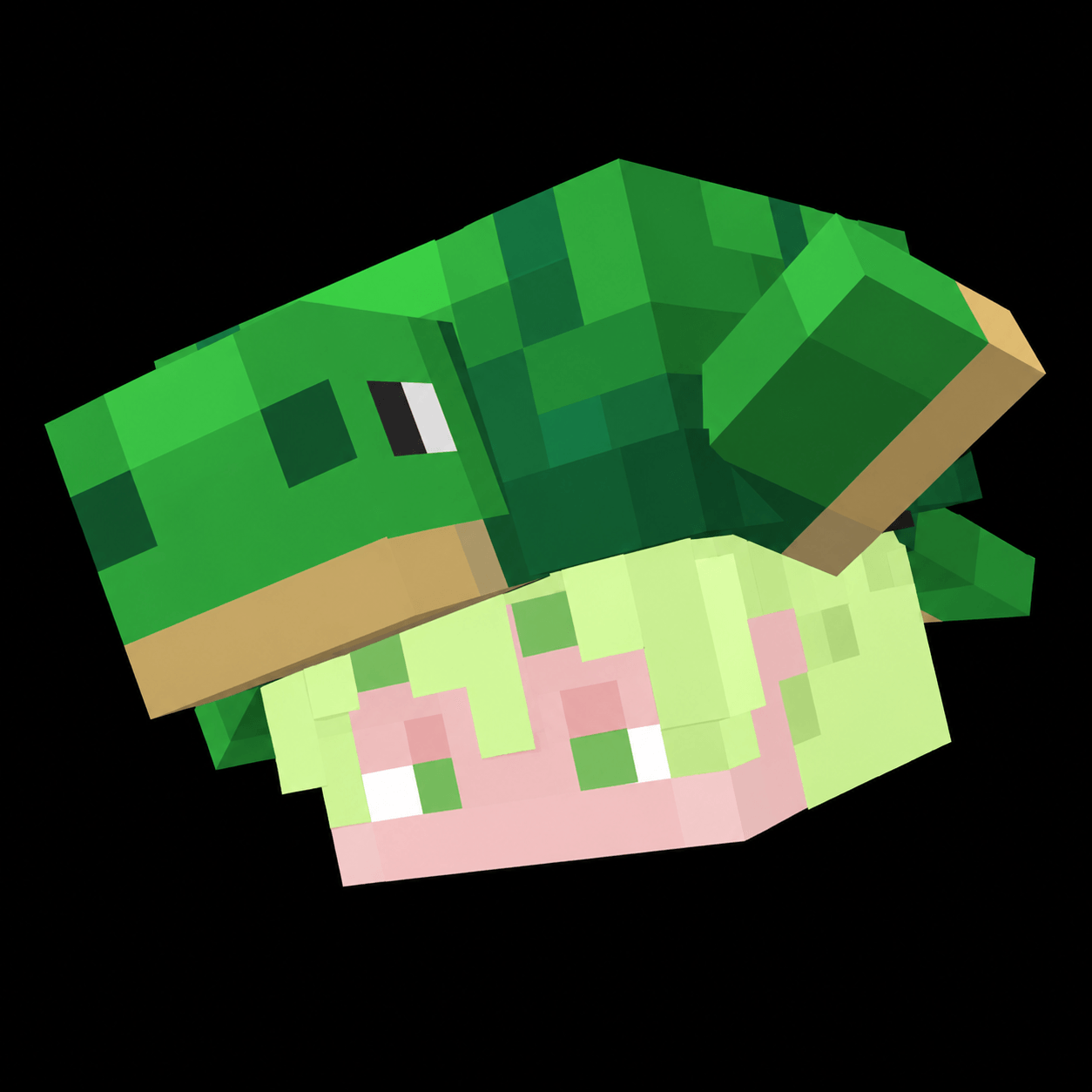 Lively Turtle Helmet 3D — screenshot 1