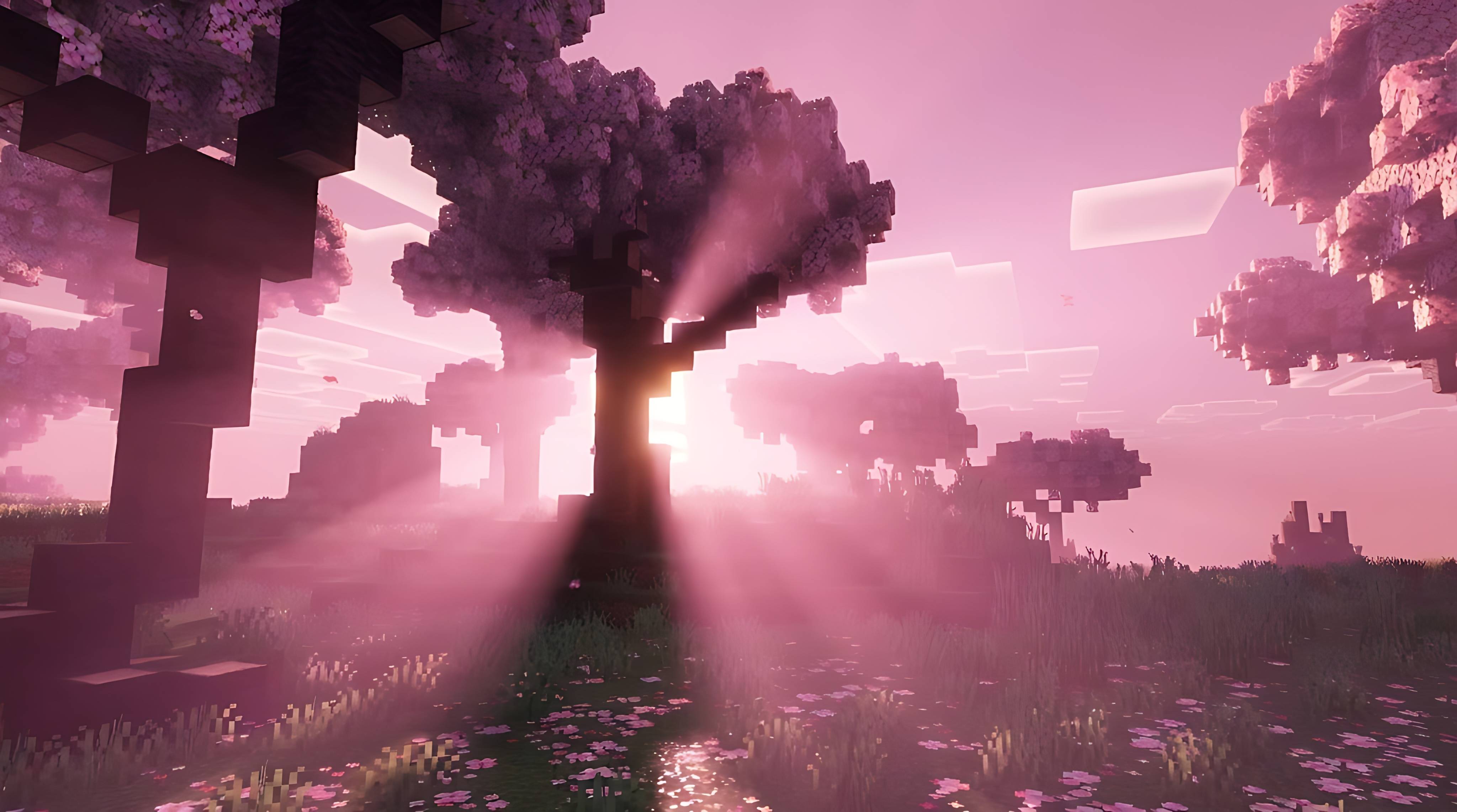 AAUKA VISUALS — screenshot 2
