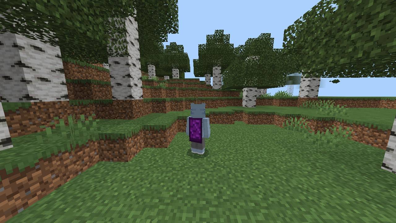 nether_portal_cape — screenshot 1