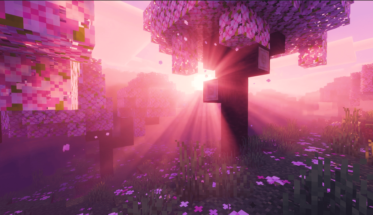 ATARA VISUALS — screenshot 3