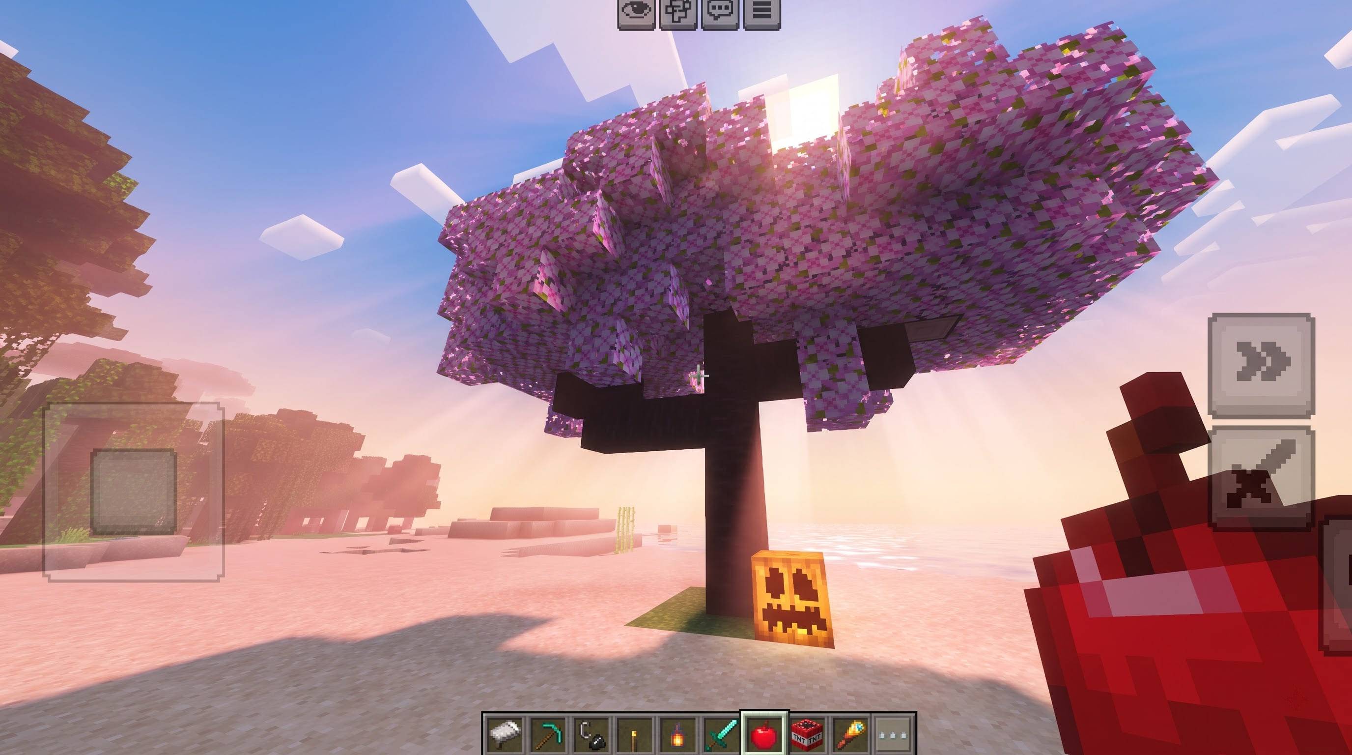 FIRST SHADER — screenshot 3