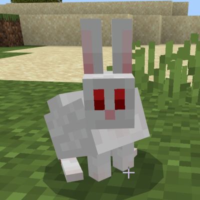 Cute Rabbit