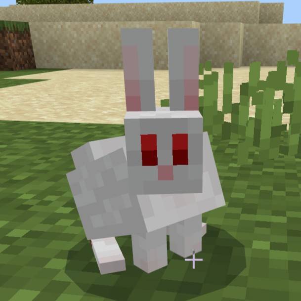 Cute Rabbit — screenshot 1