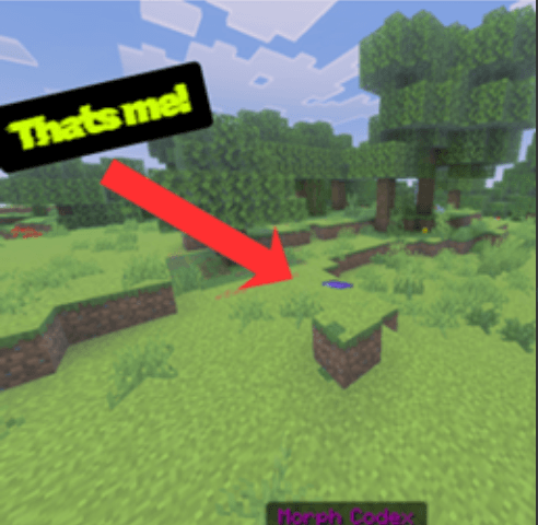 Morph Mastery: Block Hide & Seek — screenshot 1