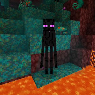 Super Simple Enderman AntiGrief