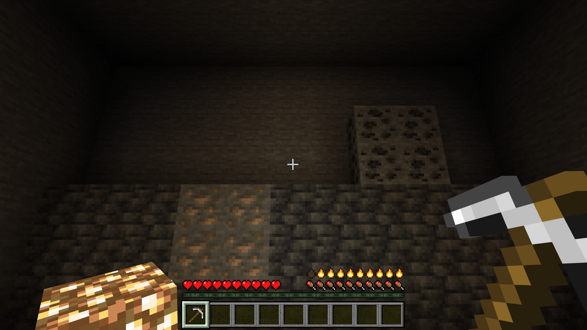 Held Torch Light — screenshot 4