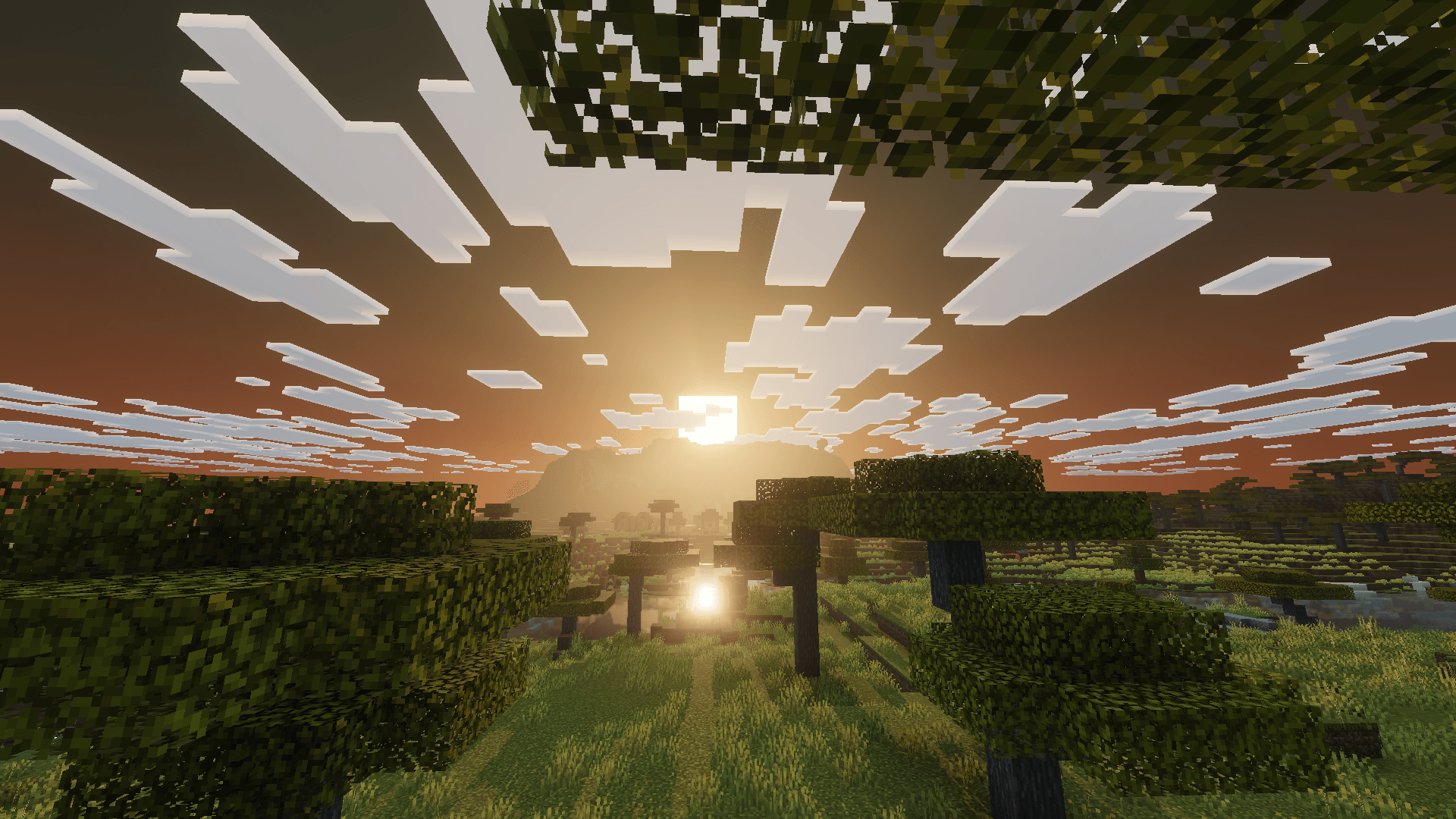 viridusk visual — screenshot 4