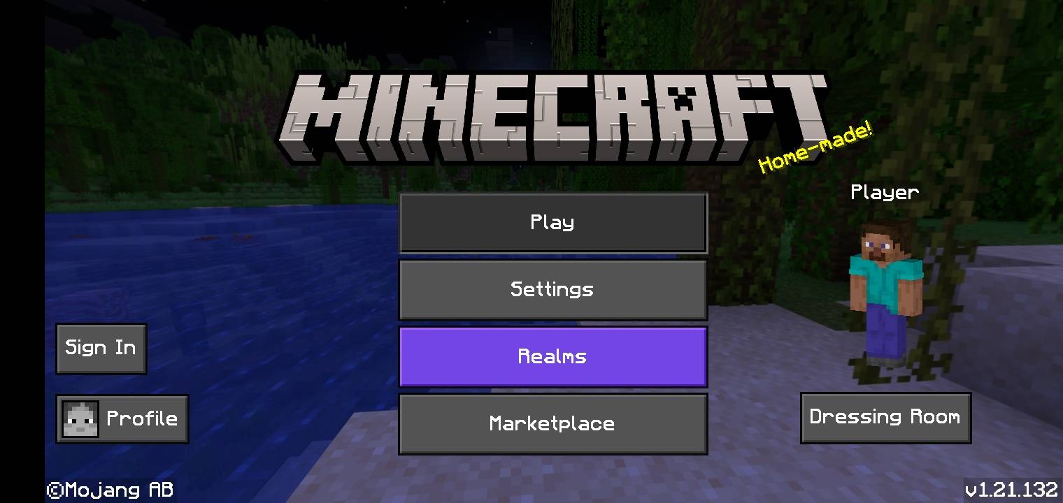 Sodium Max | FPS Boost | Best Sodium | FPS optimizer | Sodium FPS Boost | Sodium Mod — screenshot 7