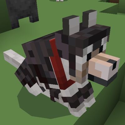 Netherite wolf armor